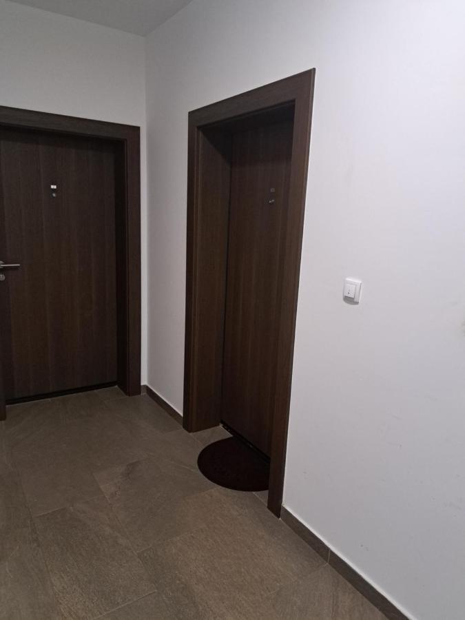 Apartment Sara Belgrad