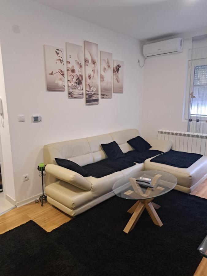 Apartment Sara Belgrad